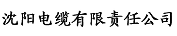 带着剑三系统刷四爷后宫电缆厂logo